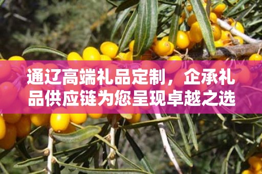 通辽高端礼品定制，企承礼品供应链为您呈现卓越之选