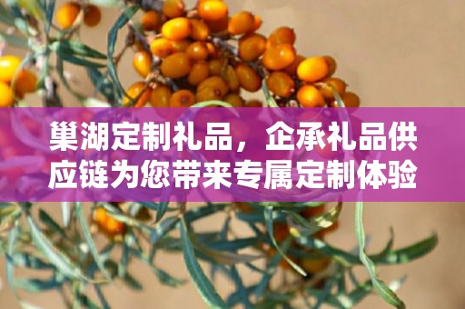 巢湖定制礼品，企承礼品供应链为您带来专属定制体验