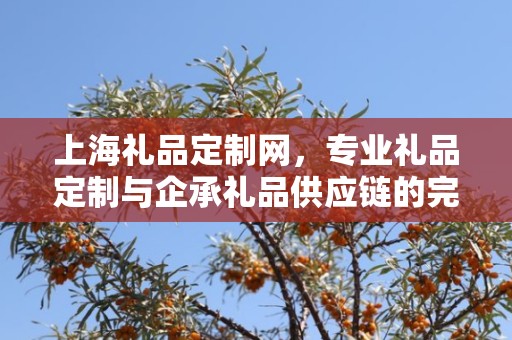 上海礼品定制网，专业礼品定制与企承礼品供应链的完美结合